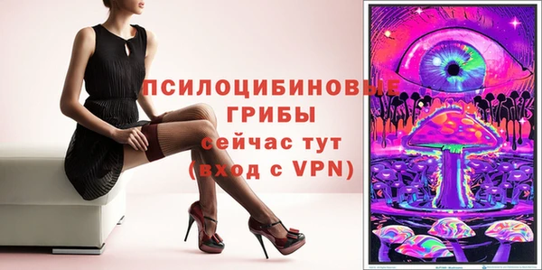 ГАЛЛЮЦИНОГЕННЫЕ ГРИБЫ Балабаново