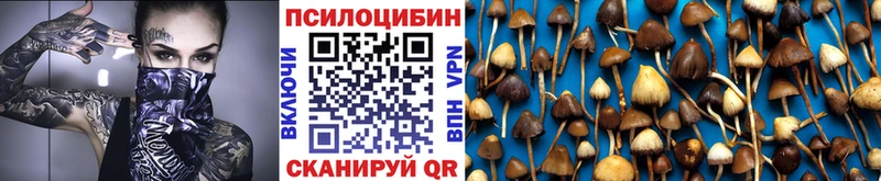 Галлюциногенные грибы прущие грибы  Озёры 